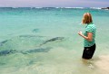 Lord Howe Island_20061208_048